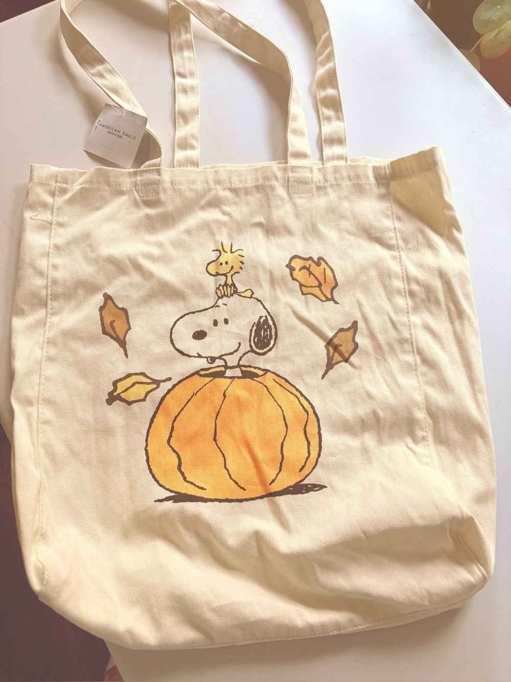 American Eagle Peanuts Snoopy Woodstock Pumpkin Fall Canvas Tote Bag